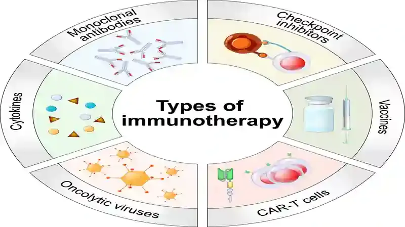 Immunotherapy for Cancer: A New Era of Treatment