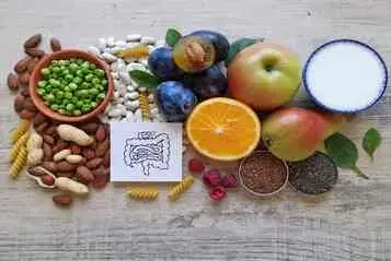 Best Foods for Gut Health: Building a Healthy Microbiome