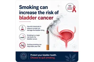can smoking cigarettes lower your sperm count The mutagenic effect of tobacco smoke on male fertility | Environmental  Science and Pollution Research