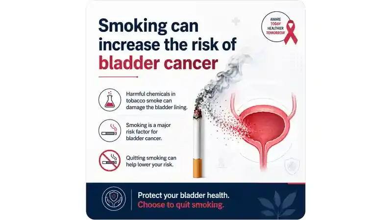 tobacco and bladder cancer Smoking causes Cigarette Smoking Tied to Bladder