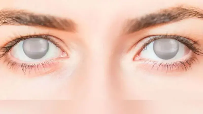 sudden blindness glp 1 Ozempic Lawsuits: Possible Compensation For Damages Ozempic Blindness Lawsuit [2026 Update]