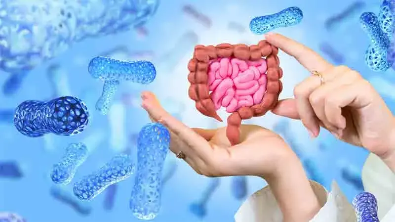 Infection In Intestines 8 Early Signs and Symptoms of Intestinal Infection