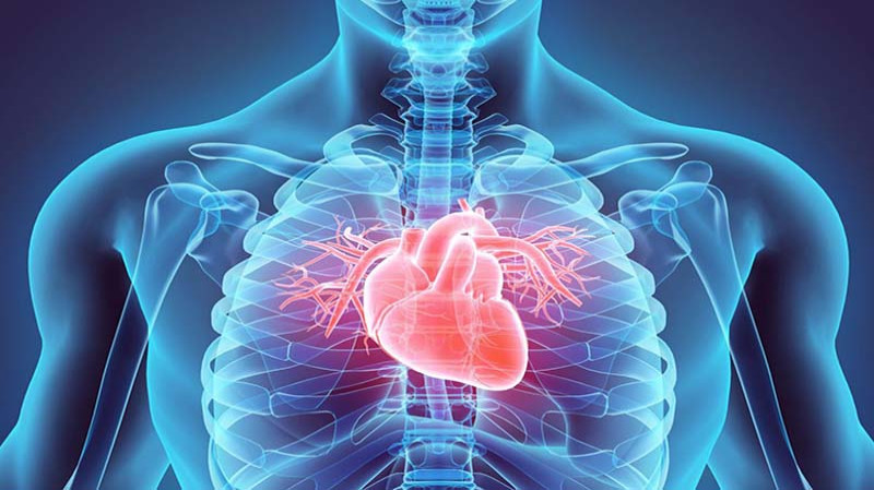 Rheumatic Heart Disease: Causes, Symptoms, Treatment | Narayana Health