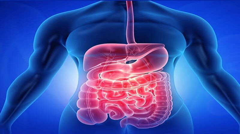 anal fissures glp 1 What Causes and How to Prevent Them Anal Fissures: Causes, Symptoms, Treatment