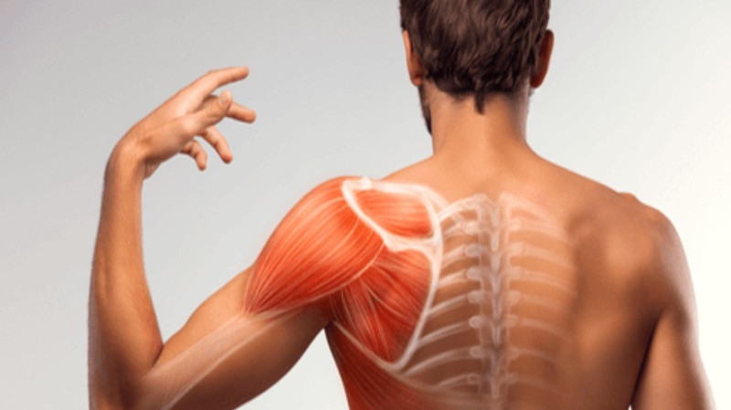 rhabdomyolysis glp 1 GLP-1 receptor agonists and next-generation metabolic hormone therapies in chronic kidney disease What is Rhabdomyolysis? Causes, Symptoms,