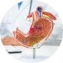 Gastrology
