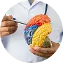 Neurology