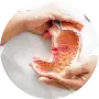 Gastro Sciences