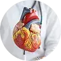 Cardiology