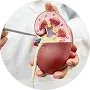Nephrology