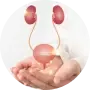 Urology