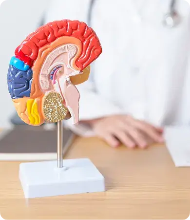 Neuro Sciences