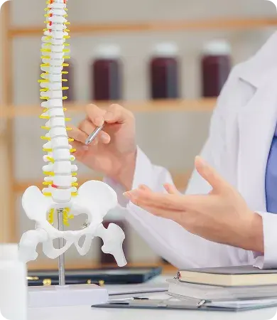 Orthopaedics