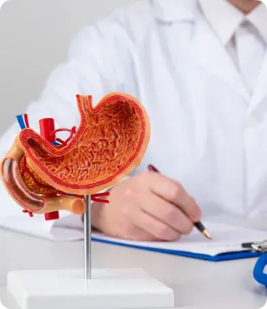 Gastro Sciences